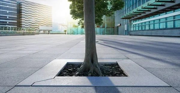 griglie-alberi-diago_f
